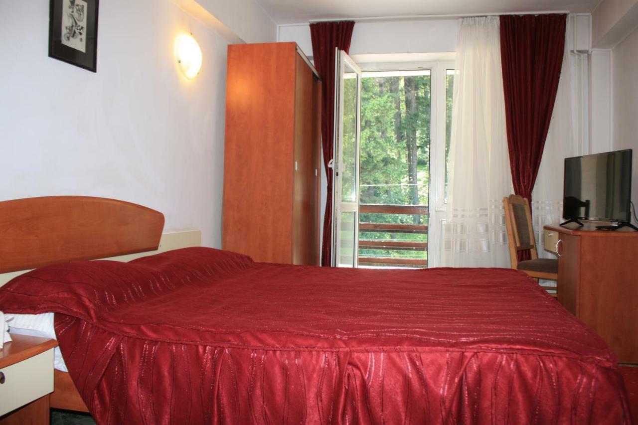 Vila Mihail Buşteni Exterior foto
